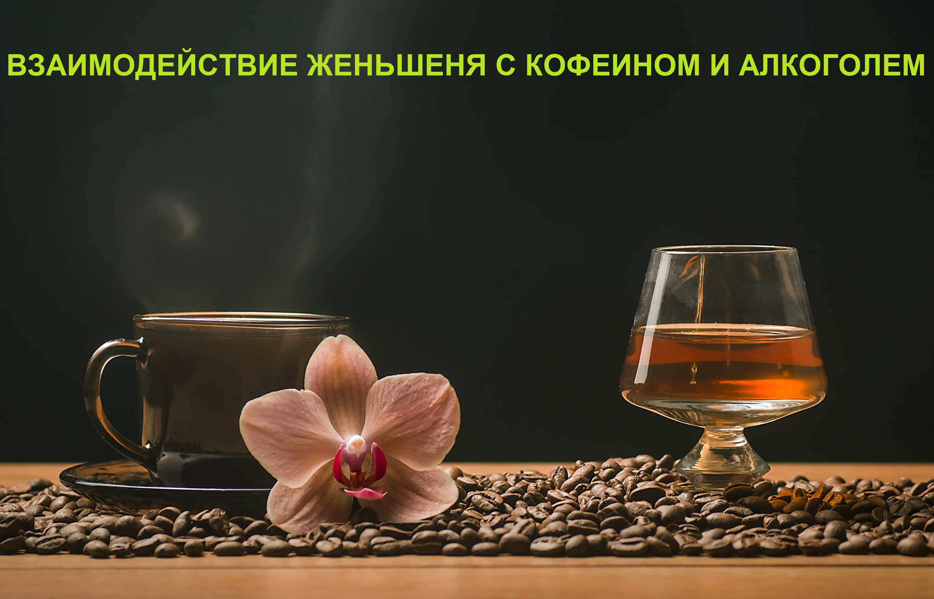 Настойка женьшеня — польза и вред для здоровья Настойка женьшеня — польза и вред для здоровья