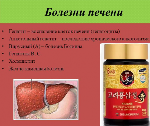 Купить женьшень при болезнях печени | Женьшень - купить по низкой цене ...